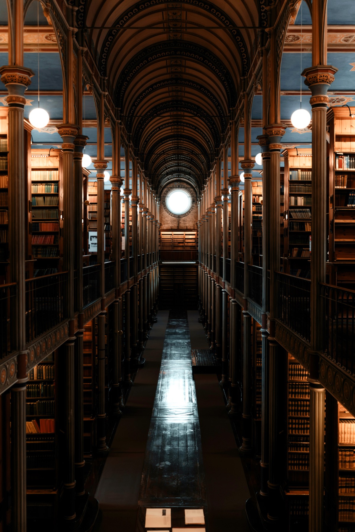 Biblioteca com estantes, arcos e janela circular iluminada: exemplo de observação dos realces e sombras